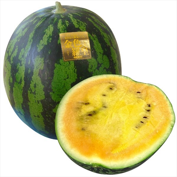種 野菜たね スイカ F1金色羅皇（品種登録出願中） 1袋（5粒）