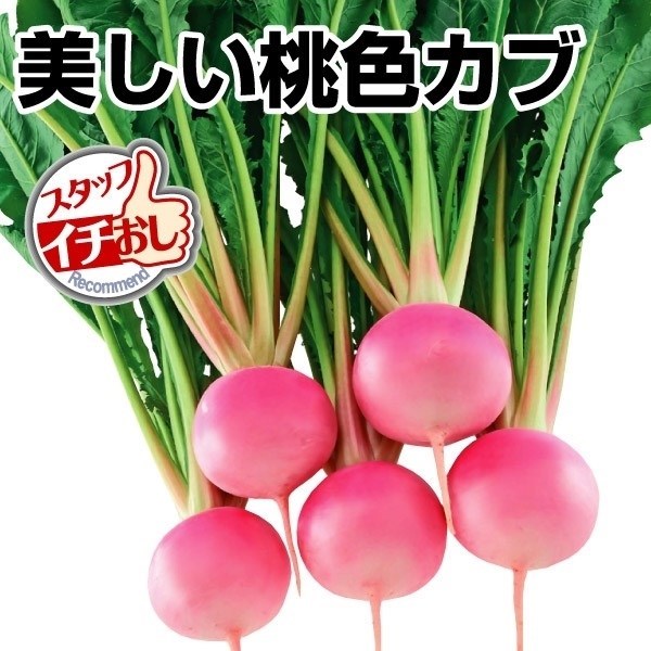 種 野菜たね カブ F1桃寿 1袋（1ml）