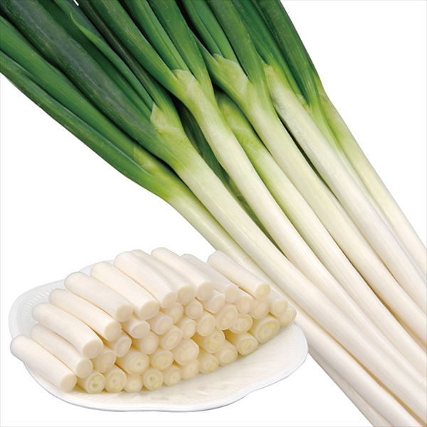 種 野菜たね ネギ F1味十八番 1袋（コート種子200粒）