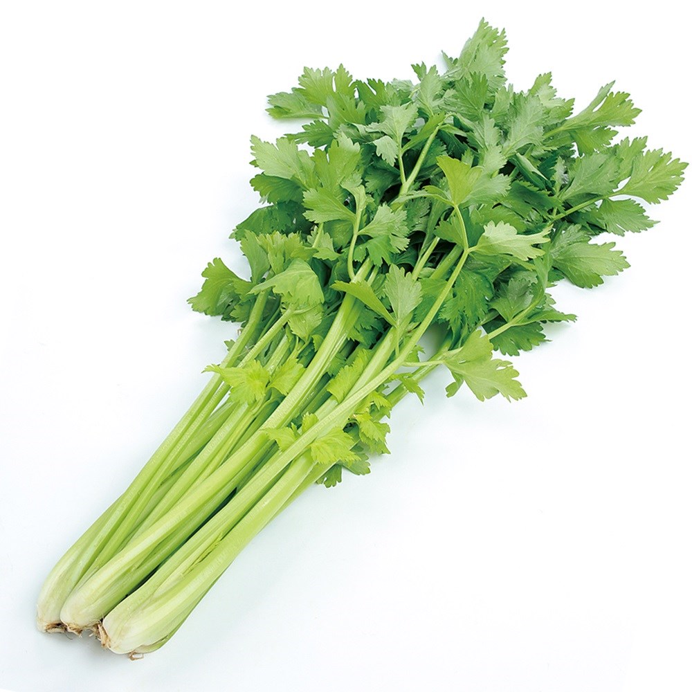 種 野菜たね 菜類 簡単セロリ F1ミツバリアン 1袋（約250粒）