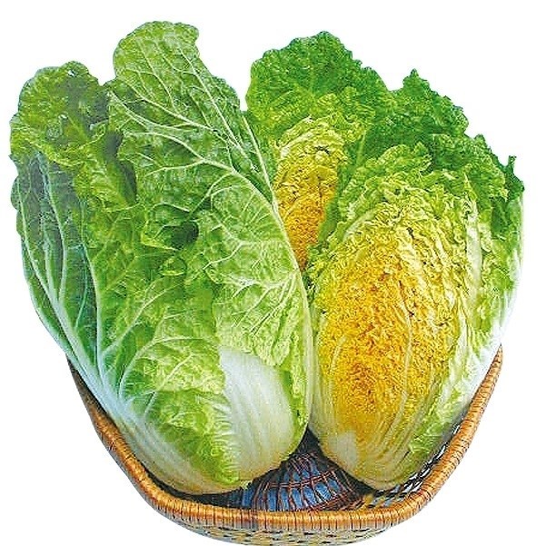 種 野菜たね ハクサイ F1オレンジミニ白菜 1袋(3ml)