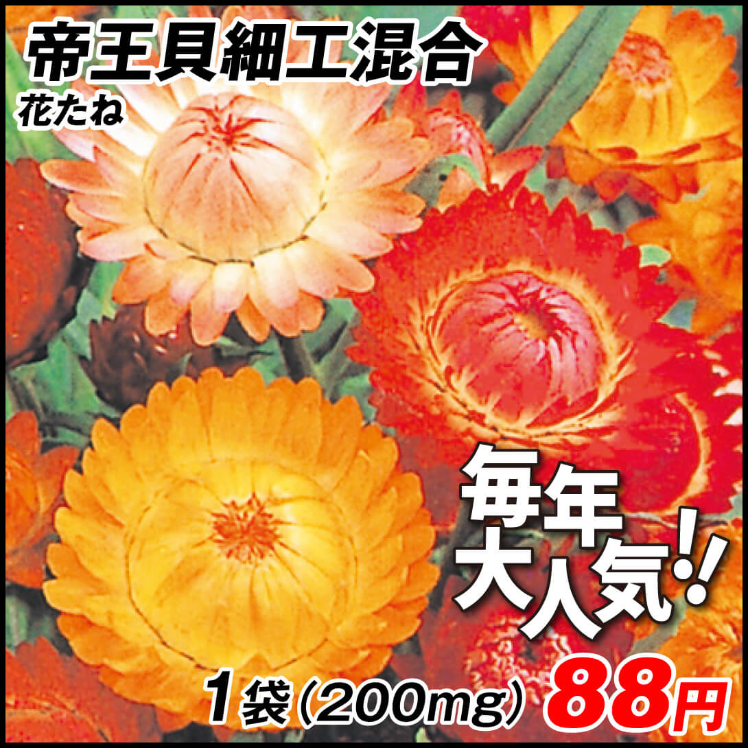 種 花たね 帝王貝細工混合 1袋（200mg)