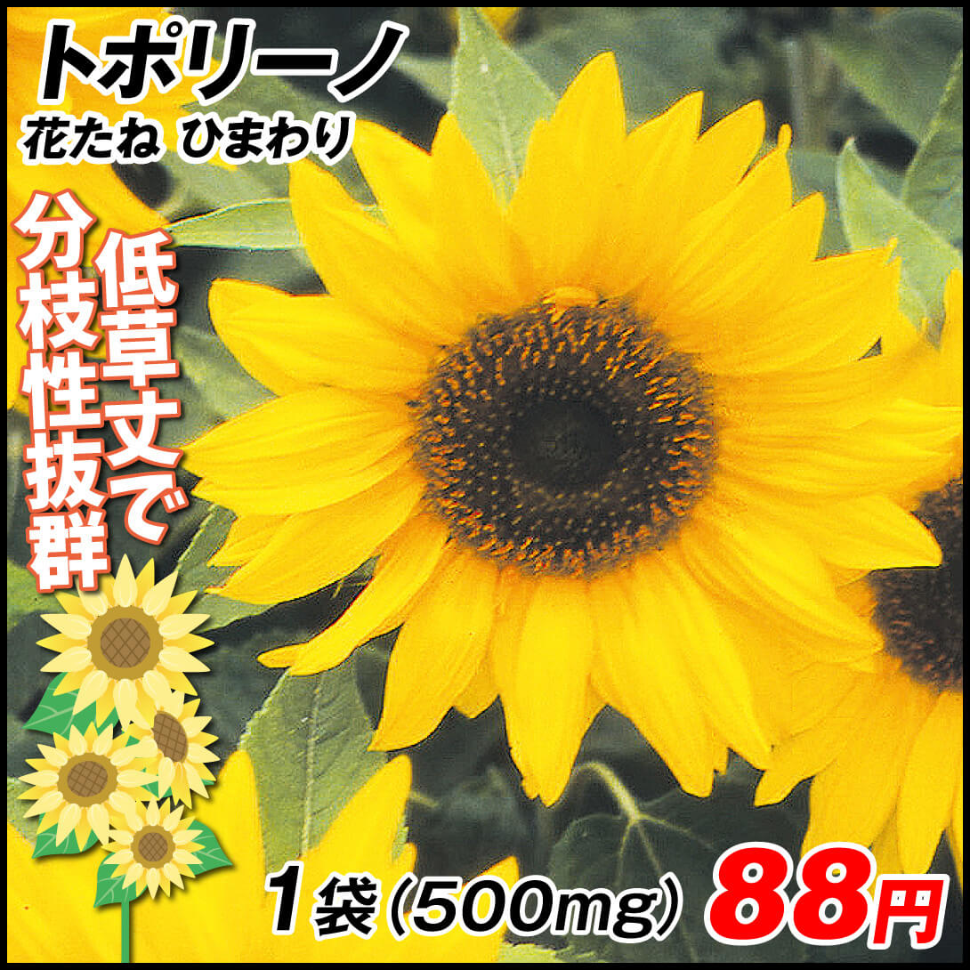 種 花たね ひまわり トポリーノ 1袋(500mg)