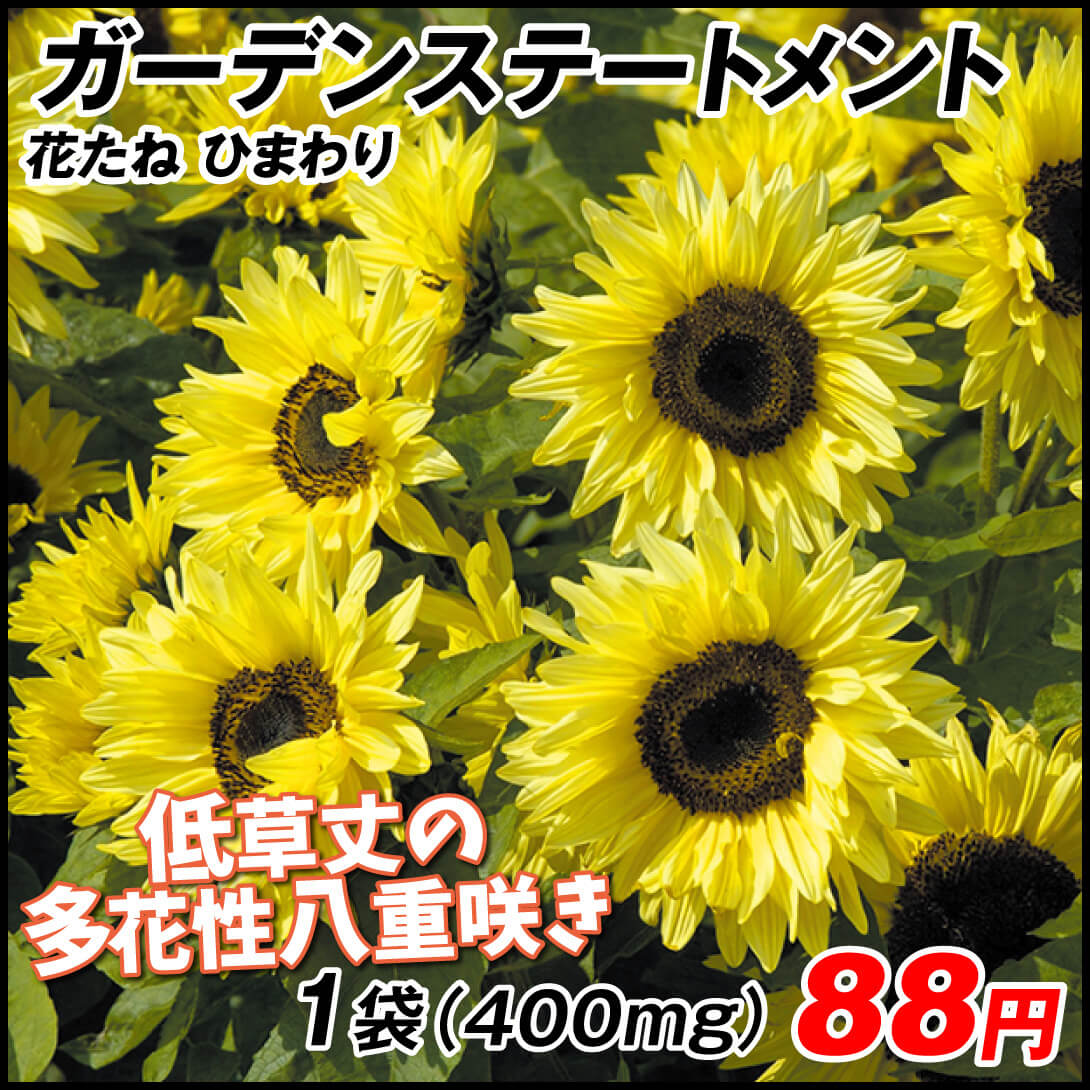 種 花たね ヒマワリ ガーデンステートメント 1袋(400mg)