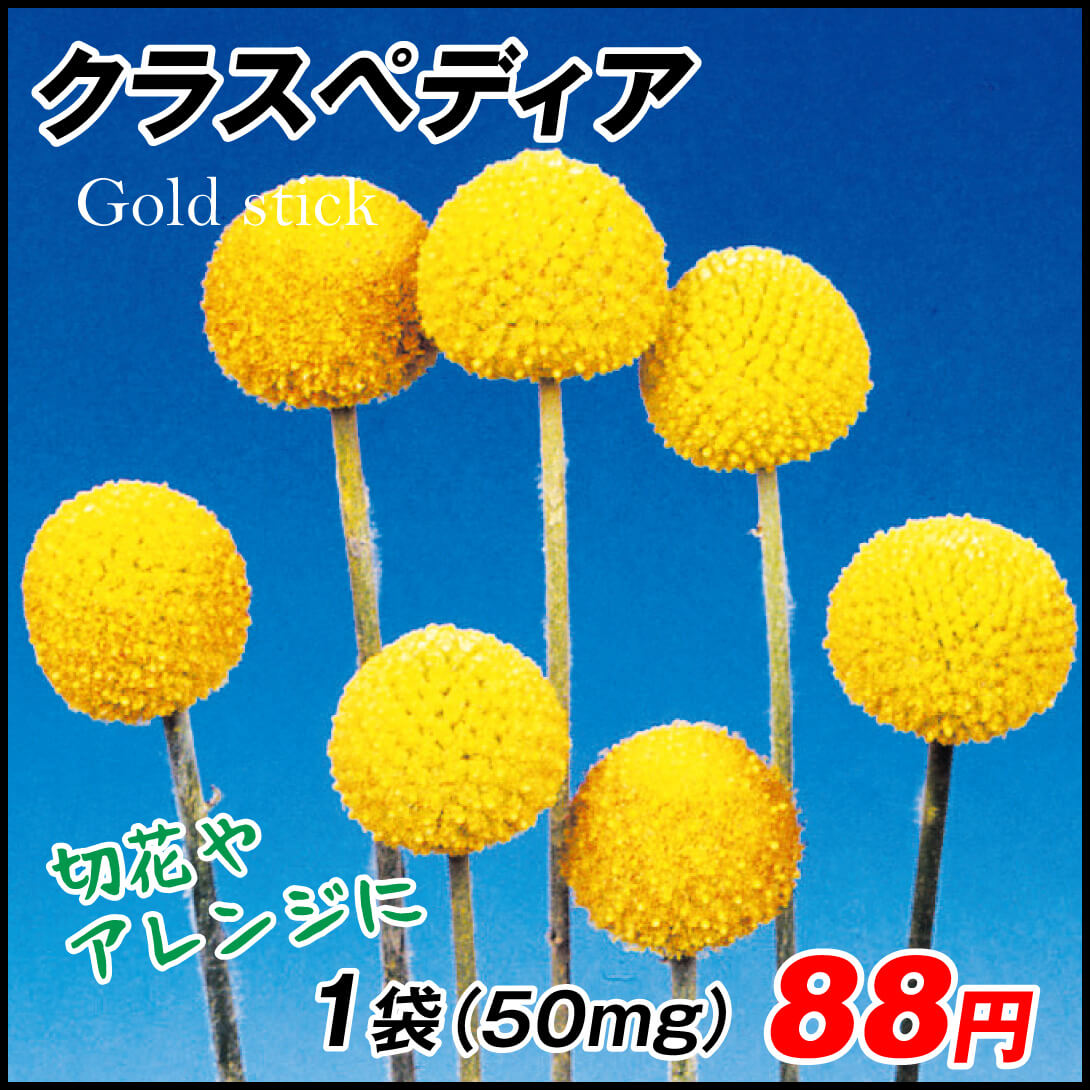 種 花たね クラスペディア 1袋（50mg)