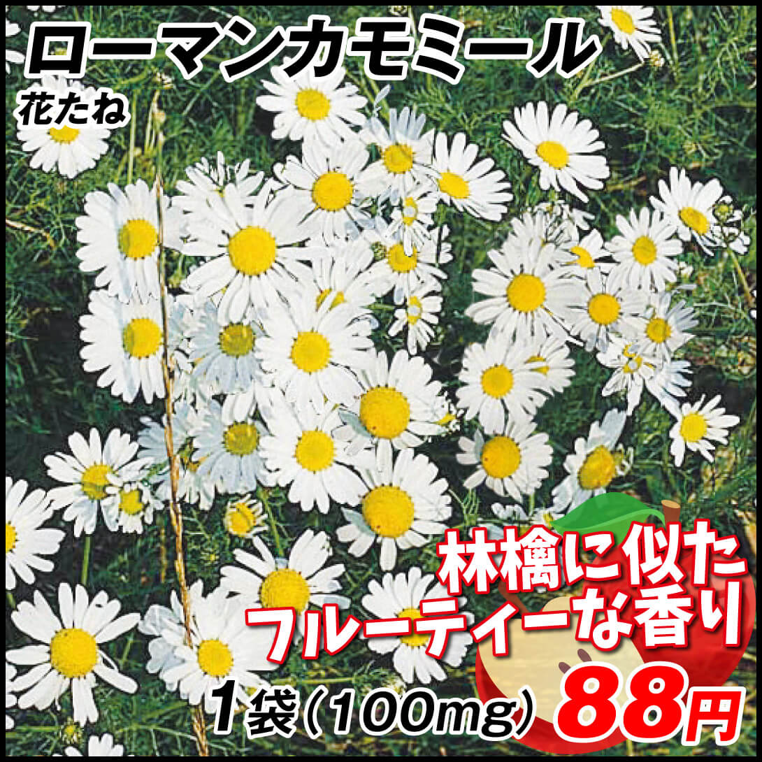 種 花たね ローマンカモミール 1袋(100mg)