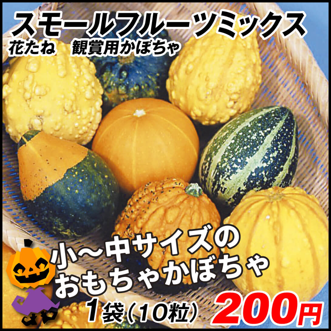 種 花たね おもちゃかぼちゃ スモールフルーツミックス 1袋(10粒)
