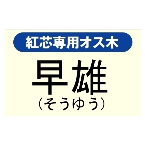 果樹苗 紅芯キウイ専用オス木 早雄 1株