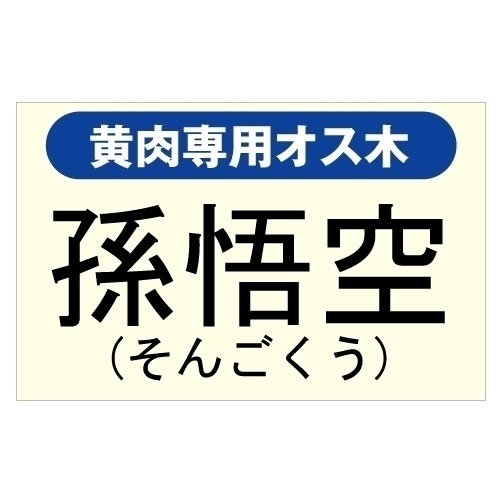 果樹苗 黄肉キウイ専用オス木 孫悟空 1株