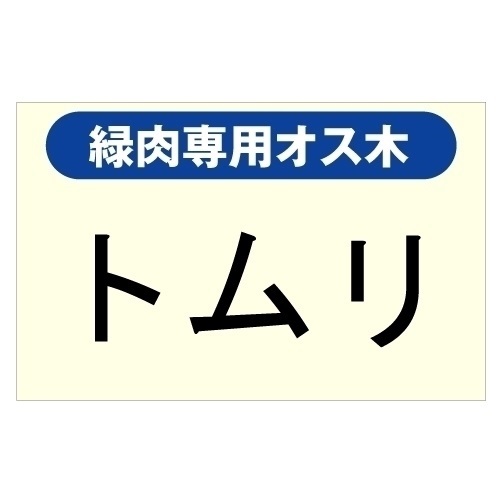 果樹苗 緑肉キウイ専用オス木 トムリ 1株