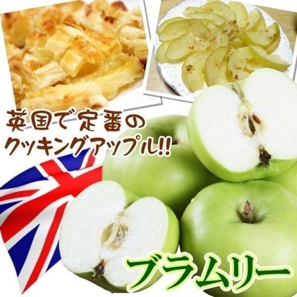 果樹苗 リンゴ ブラムリー 1株