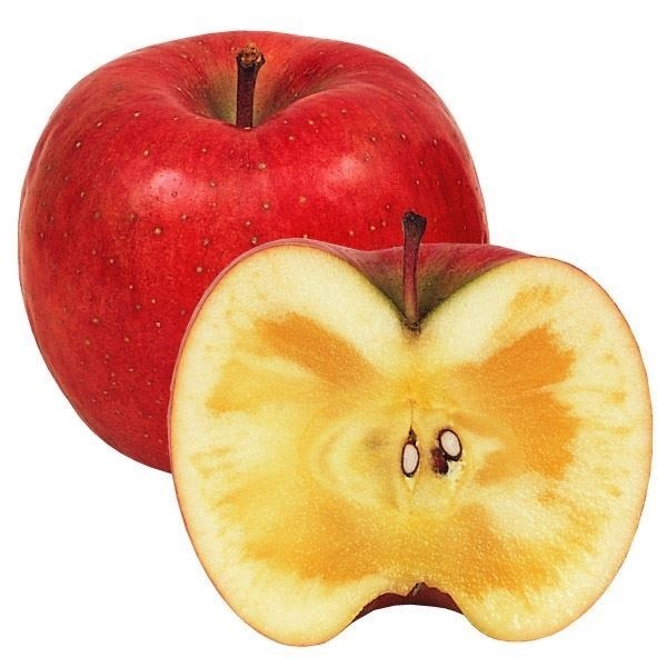 果樹苗 リンゴ こうとく 1株