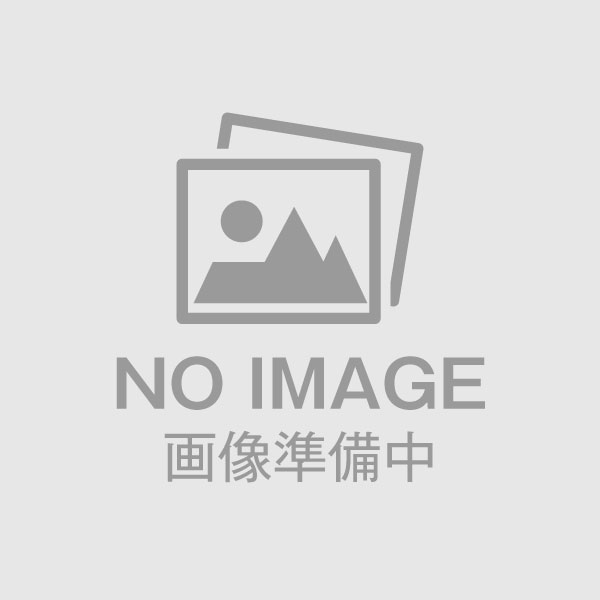 菊苗 大菊 天女の舞 1芽