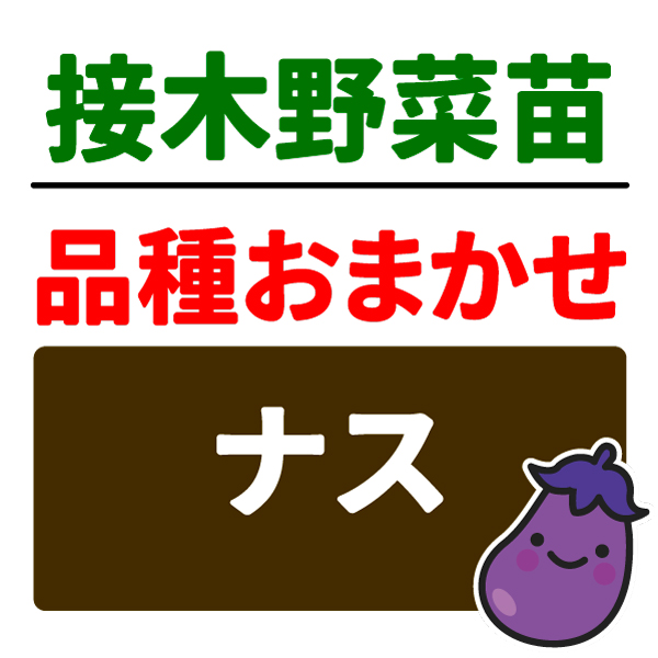 接木野菜苗 品種おまかせ接木ナス 2株