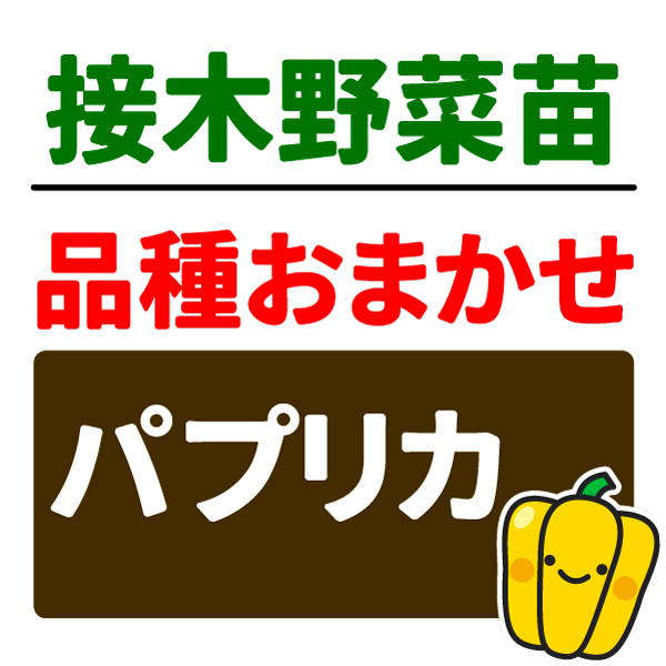 接木野菜苗 品種おまかせ接木パプリカ 2株