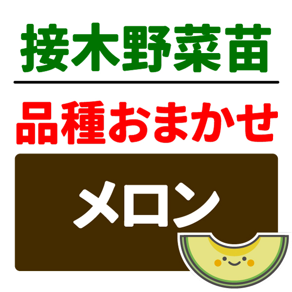 接木野菜苗 品種おまかせ接木メロン 2株