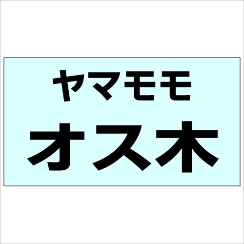 果樹苗 ヤマモモ オス木 1株