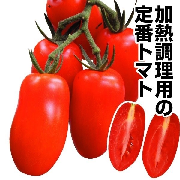 種 野菜たね トマト サンマルツァーノトマト・ポリフェルモ 1袋（15粒）