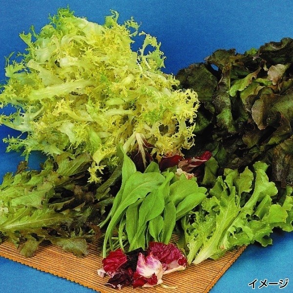 種 野菜たね 菜類 サラダミックス 1袋（20ml）