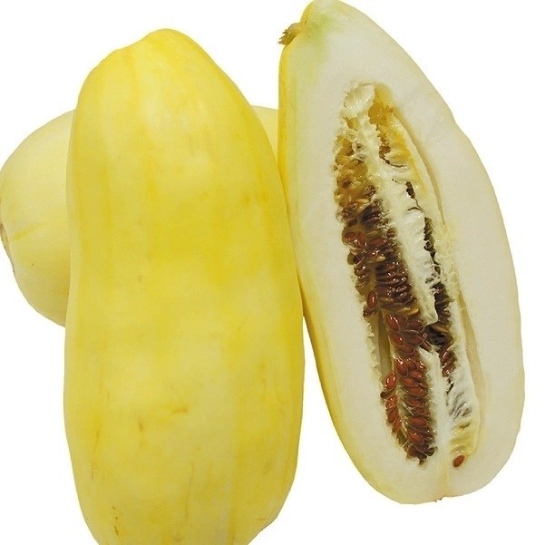 種 野菜たね ユニーク野菜 バナナまくわ瓜 1袋（1ml）