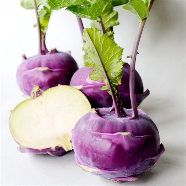種 野菜たね ユニーク野菜 コールラビ F1フランレッド 1袋（50粒）