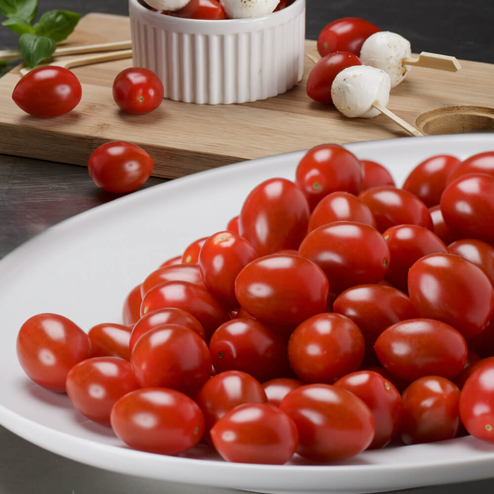 種 野菜たね トマト F1フロランティーノ 1袋（4粒）