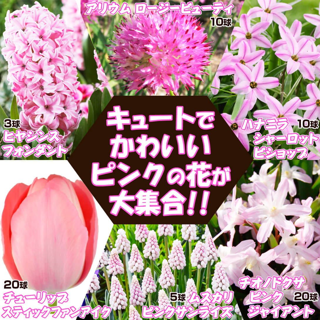 平松祐子さん白い波型ピッチャー 約300ml