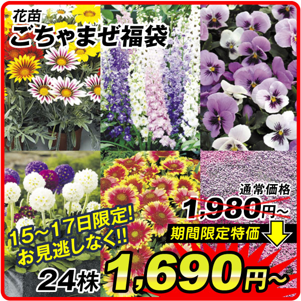 ごちゃまぜ福袋