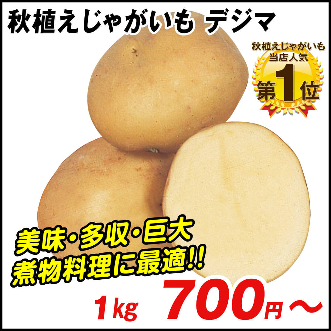 デジマ　ジャガイモ
