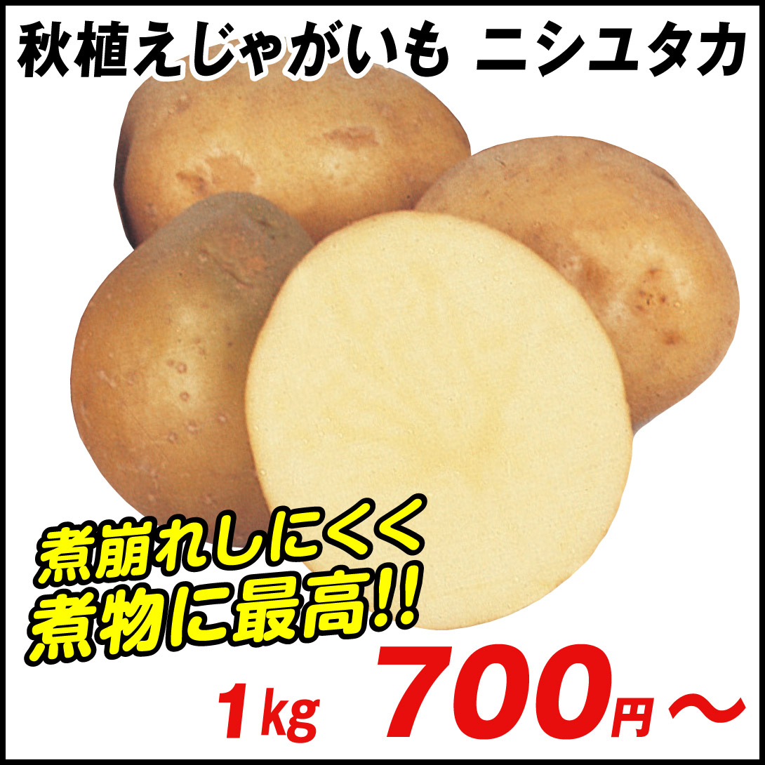 ニシユタカ　ジャガイモ