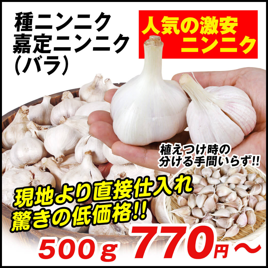 嘉定ニンニク・バラ