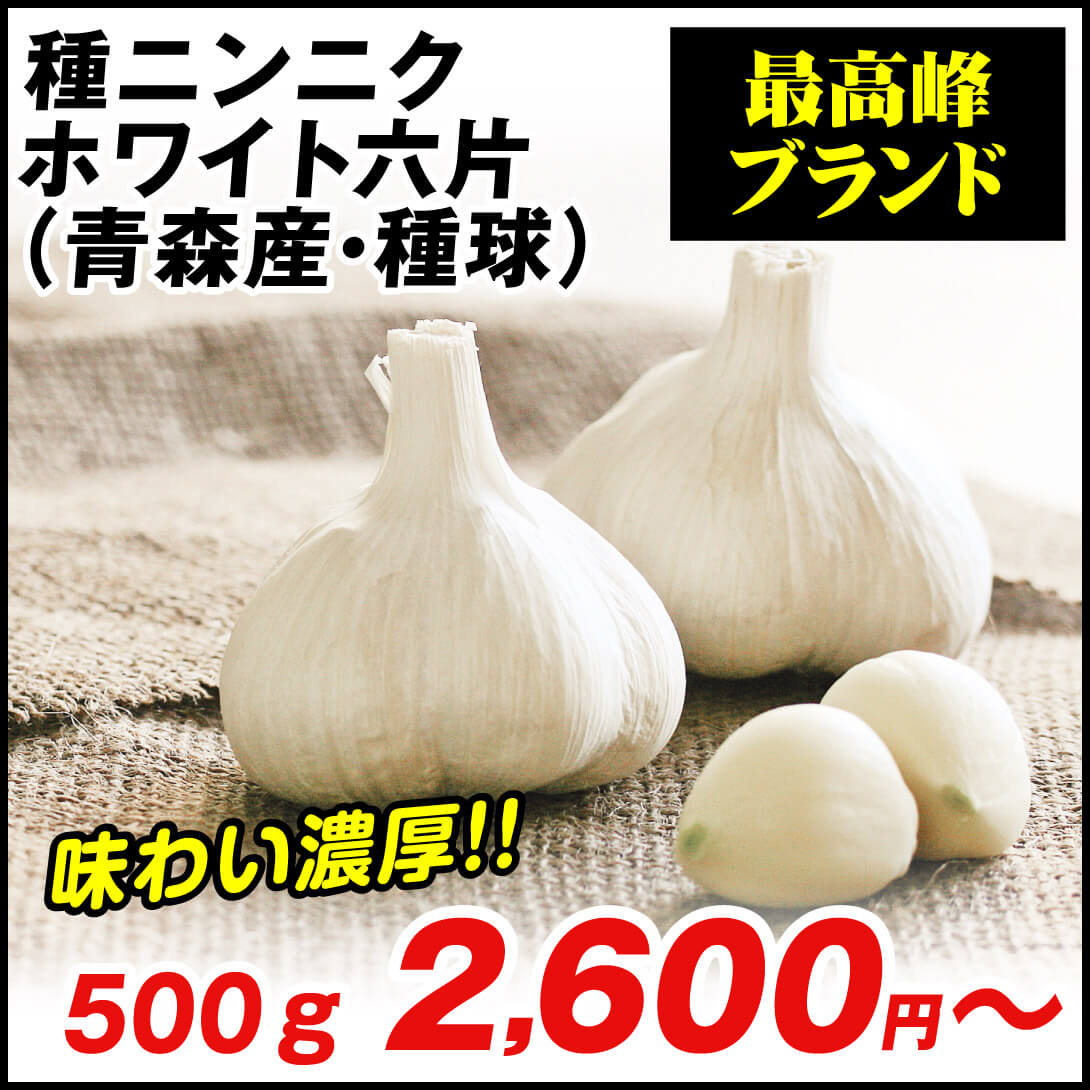 ホワイト六片・種球
