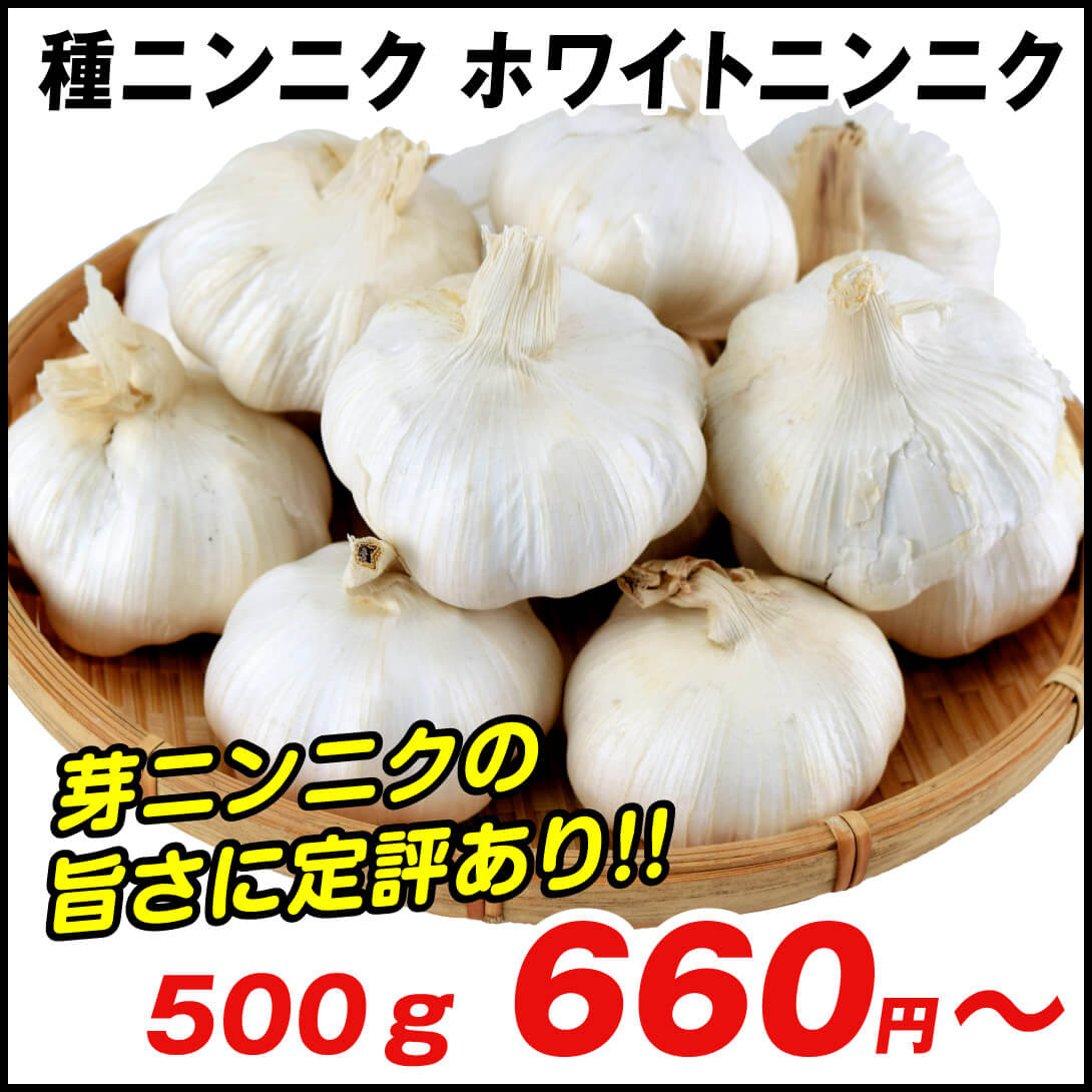 ホワイトニンニク