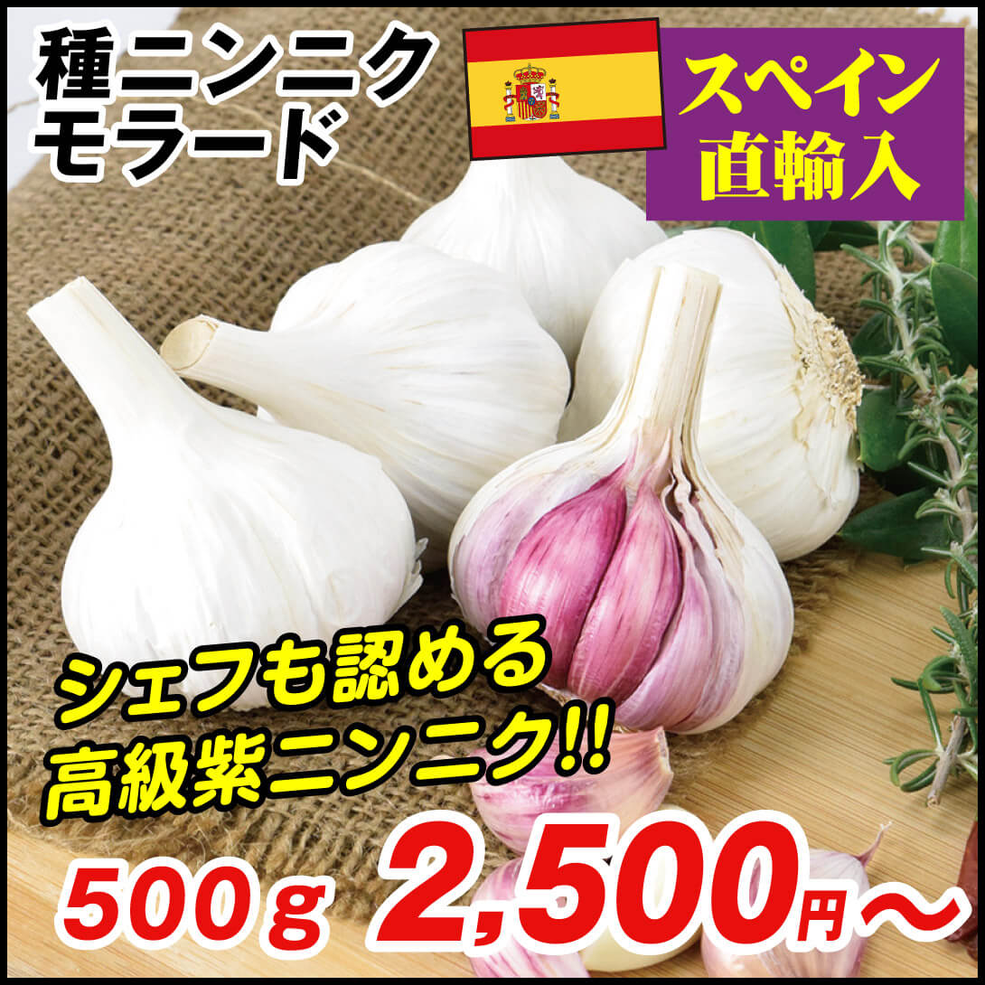 AGRO様専用】種用ニンニク15キロ①（お取り置き商品） 【公式通販】
