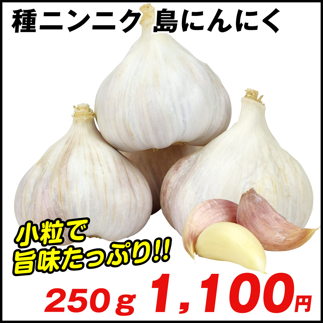 島にんにく
