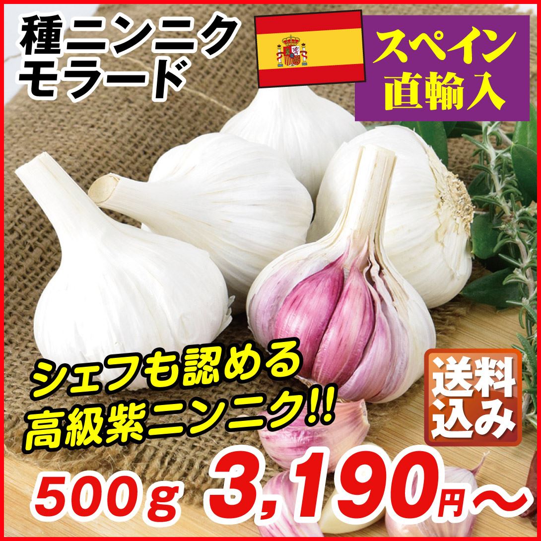 kokomi セール中様用種にんにく10キロ