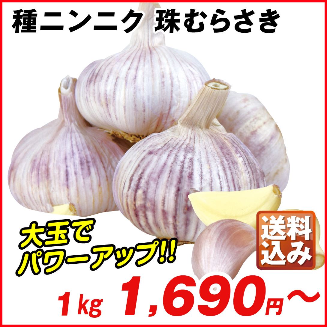 国華園オンラインショップ / ニンニク種球