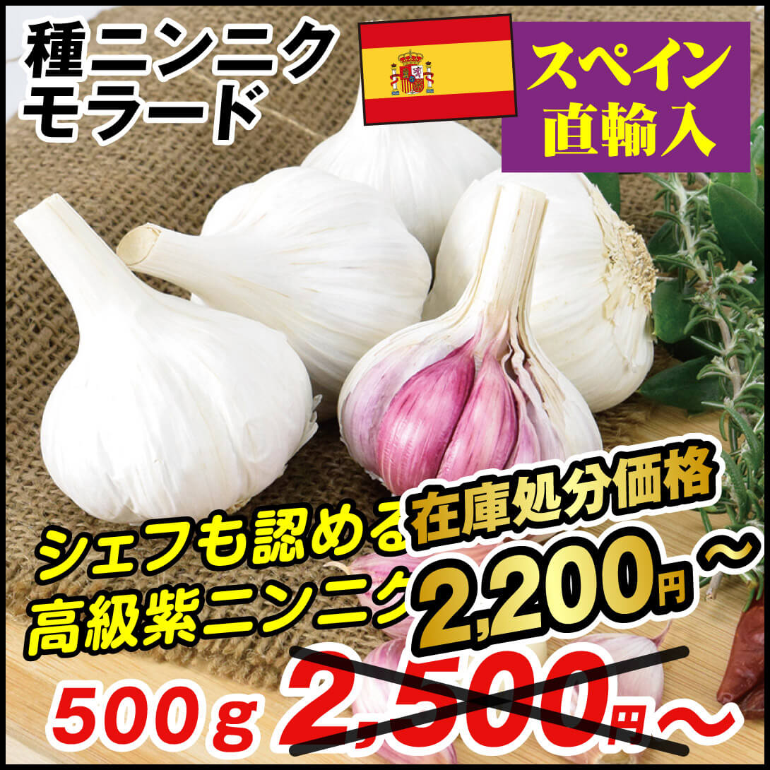 紫ニンニク モラード （スペイン産）