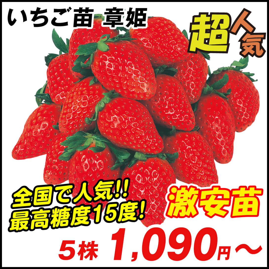 章姫
