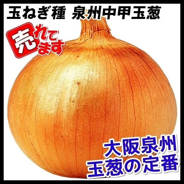 種 野菜たね タマネギ 泉州中甲黄玉葱 1袋(5ml)