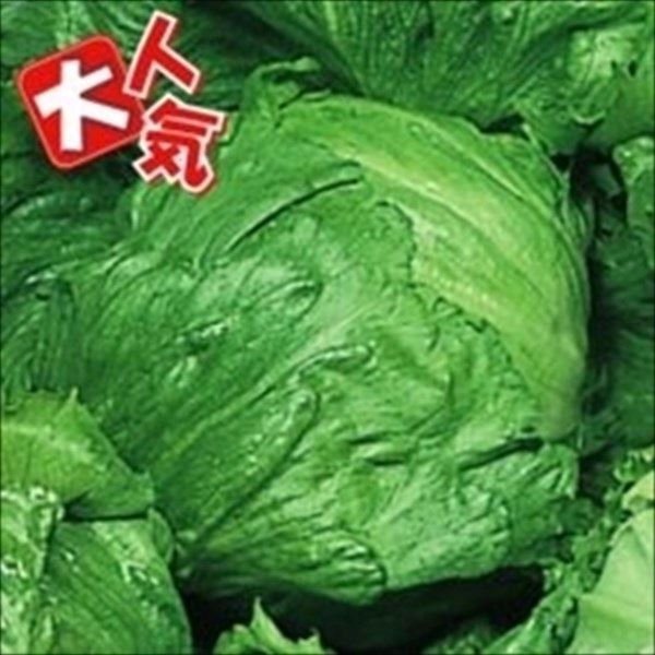 種 野菜たね レタス 早生サリナス 1袋(2ml)