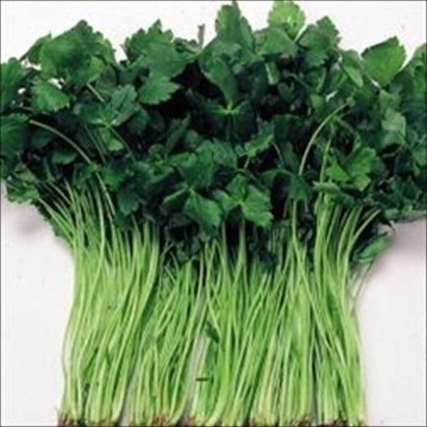 種 野菜たね 菜類 三ツ葉 白茎 1袋(8ml)