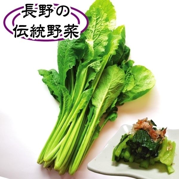 種 野菜たね 菜類 野沢菜 1袋(8ml)