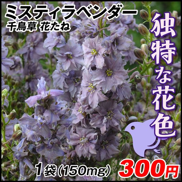 種 花たね 千鳥草 ミスティラベンダー 1袋(150mg)