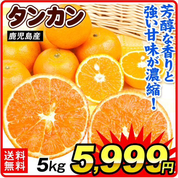 みかん 5kg タンカン 鹿児島産 柑橘 果物 フルーツ 送料無料 食品