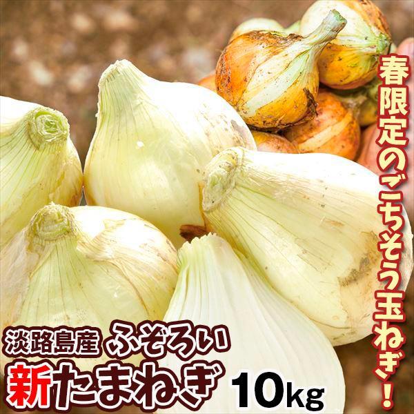 たまねぎ 10kg 新たまねぎ 不揃い 淡路島産 送料無料 食品