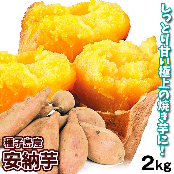 さつまいも 2kg 安納芋 種子島産 送料無料 食品