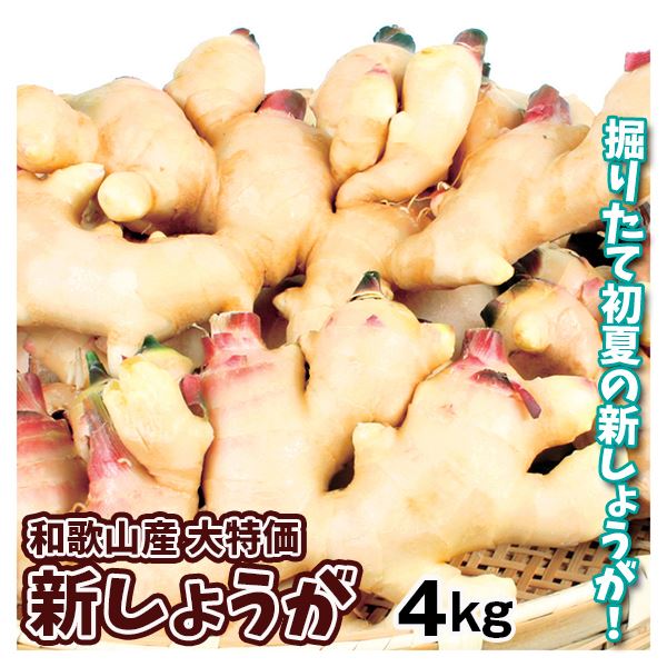 和歌山産 新しょうが 4kg 送料無料 冷蔵便 食品