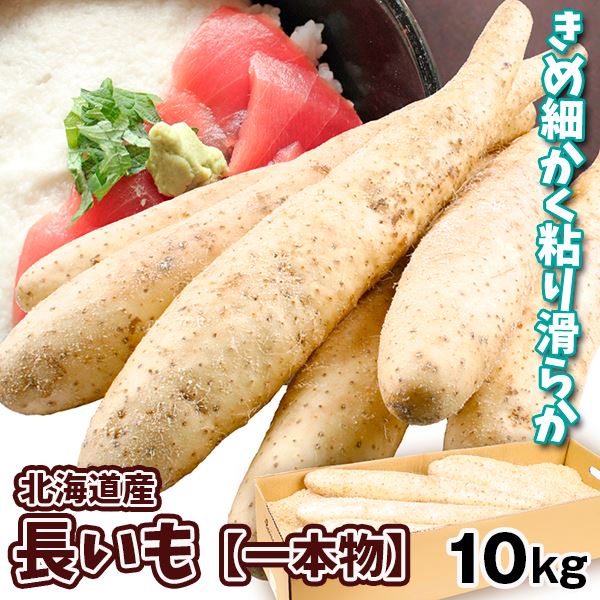 北海道産 長いも 一本物 10kg 送料無料 食品