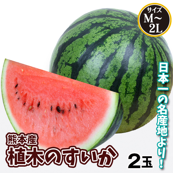 スイカ 熊本産 植木のすいか 2玉 送料無料 食品